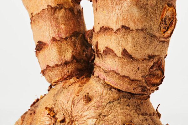 Curcumin